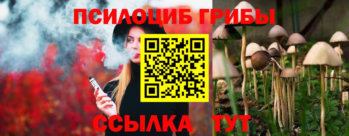 дарнет шоп  Вход с VPN  Юрга  Псилоцибиновые грибы Psilocybe 